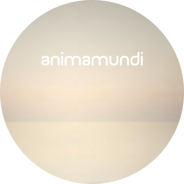 COLOR CARD ANIMAMUNDI